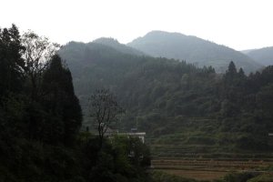 范文芳挺孕肚頒獎 吳尊求當鄭惠玉親家